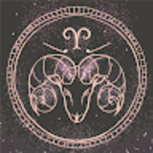 Meet your Posher, Tameyka